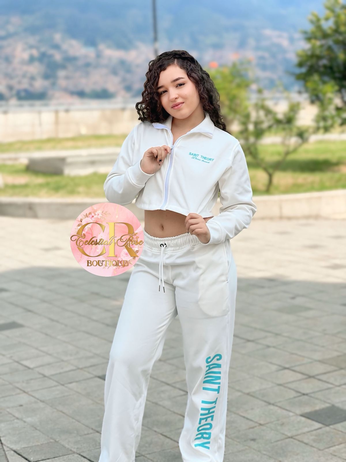 conjunto saint theory robos