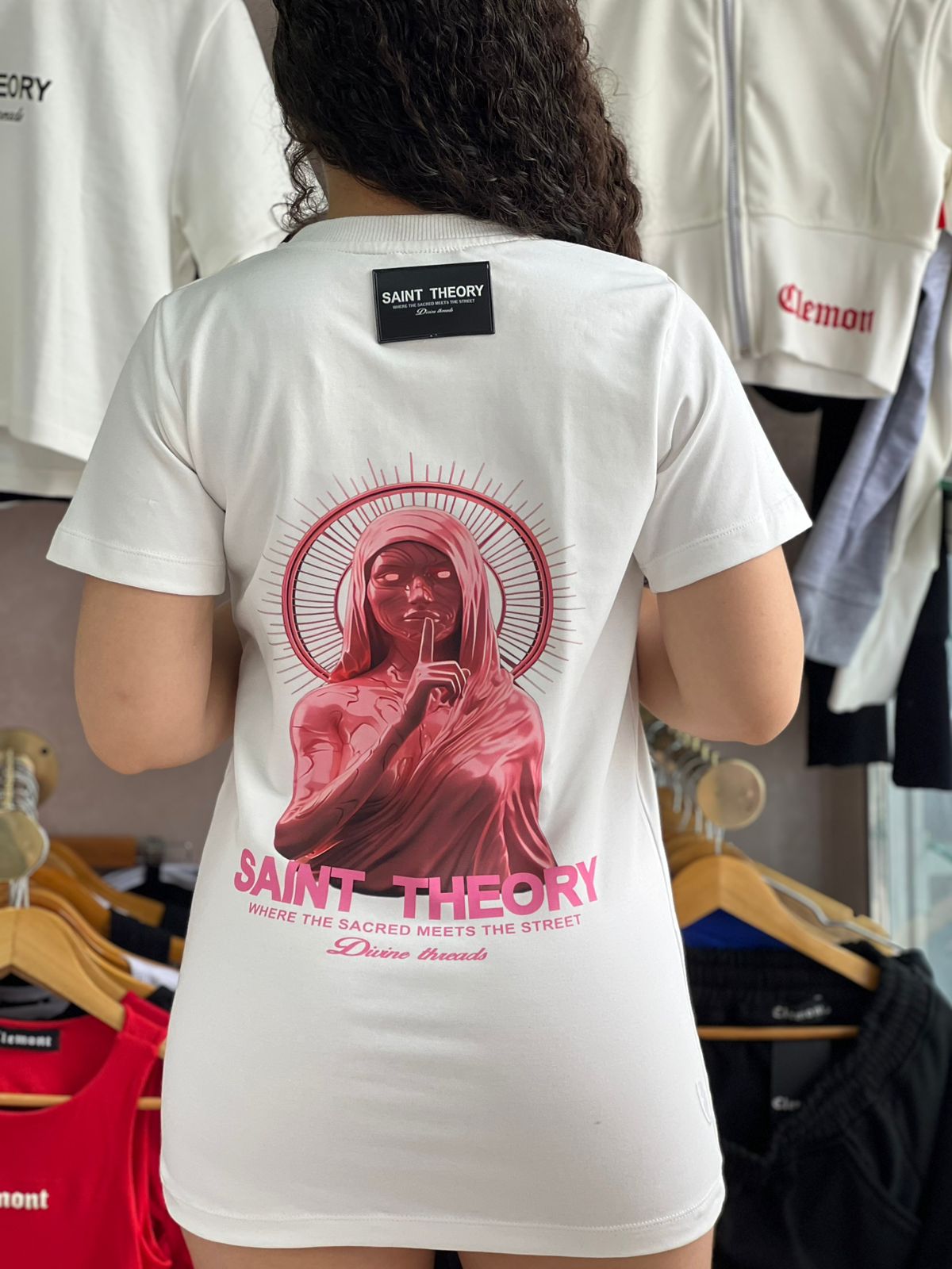 bluson saint theory robot